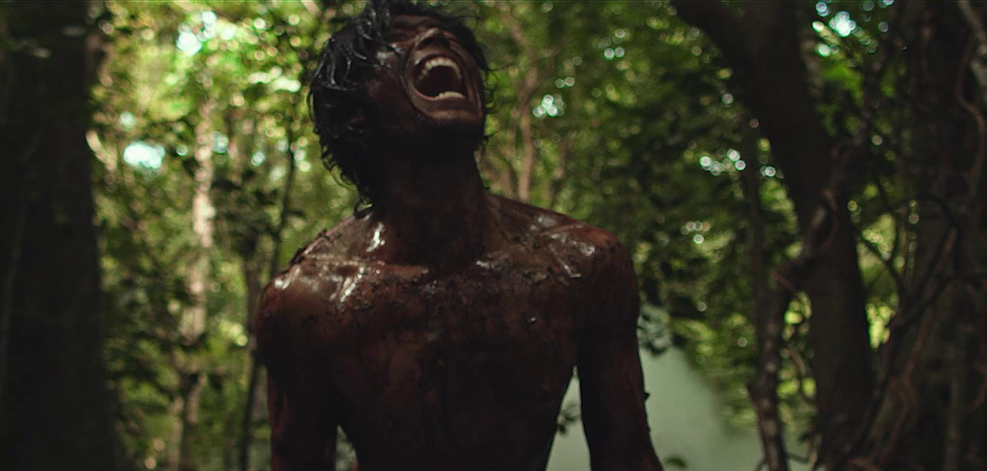 BAPTISM OF BLOOD still